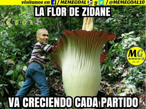 Memes Sporting Gijón-Real Madrid | Los mejores chistes Memes Sporting Gijón-Real Madrid 2017