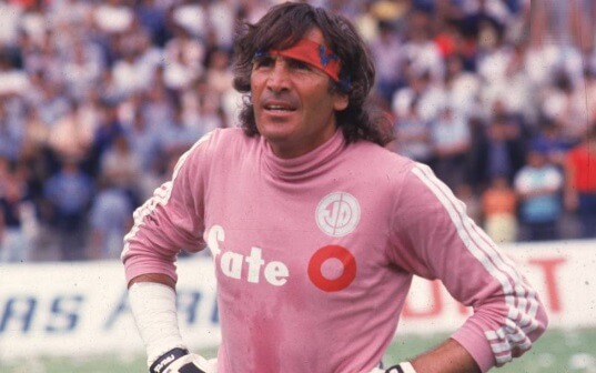 Maradona Messi gatti