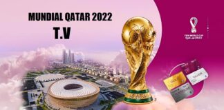 Donde Ver el Mundial 2022 | Horario y dónde ver Gratis los partidos Dónde Ver el Mundial Qatar 2022